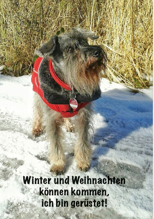 Winterkarte Motiv 8 mit Kuvert