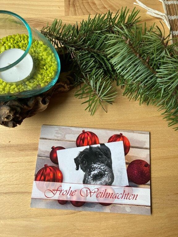 Weihnachtskarte Motiv 4 mit Kuvert Weihnachtskarte Motiv 4 mit Kuvert