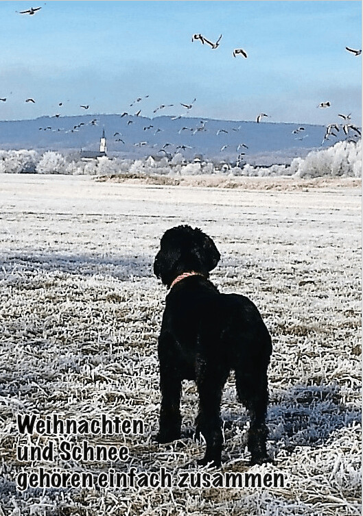 Winterkarte Motiv 5 mit Kuvert