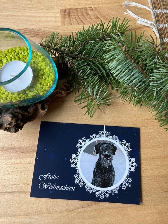 Weihnachtskarte Motiv 9 mit Kuvert Weihnachtskarte Motiv 9 mit Kuvert