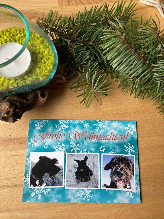 Weihnachtskarte Motiv 2 mit Kuvert Weihnachtskarte Motiv 2 mit Kuvert