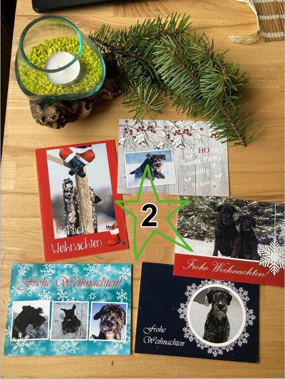 Weihnachtskarten Set 2 mit Kuverts Weihnachtskarten Set 2 mit Kuverts