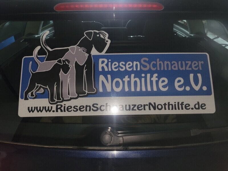 Lochfolie RSN für Autoscheiben