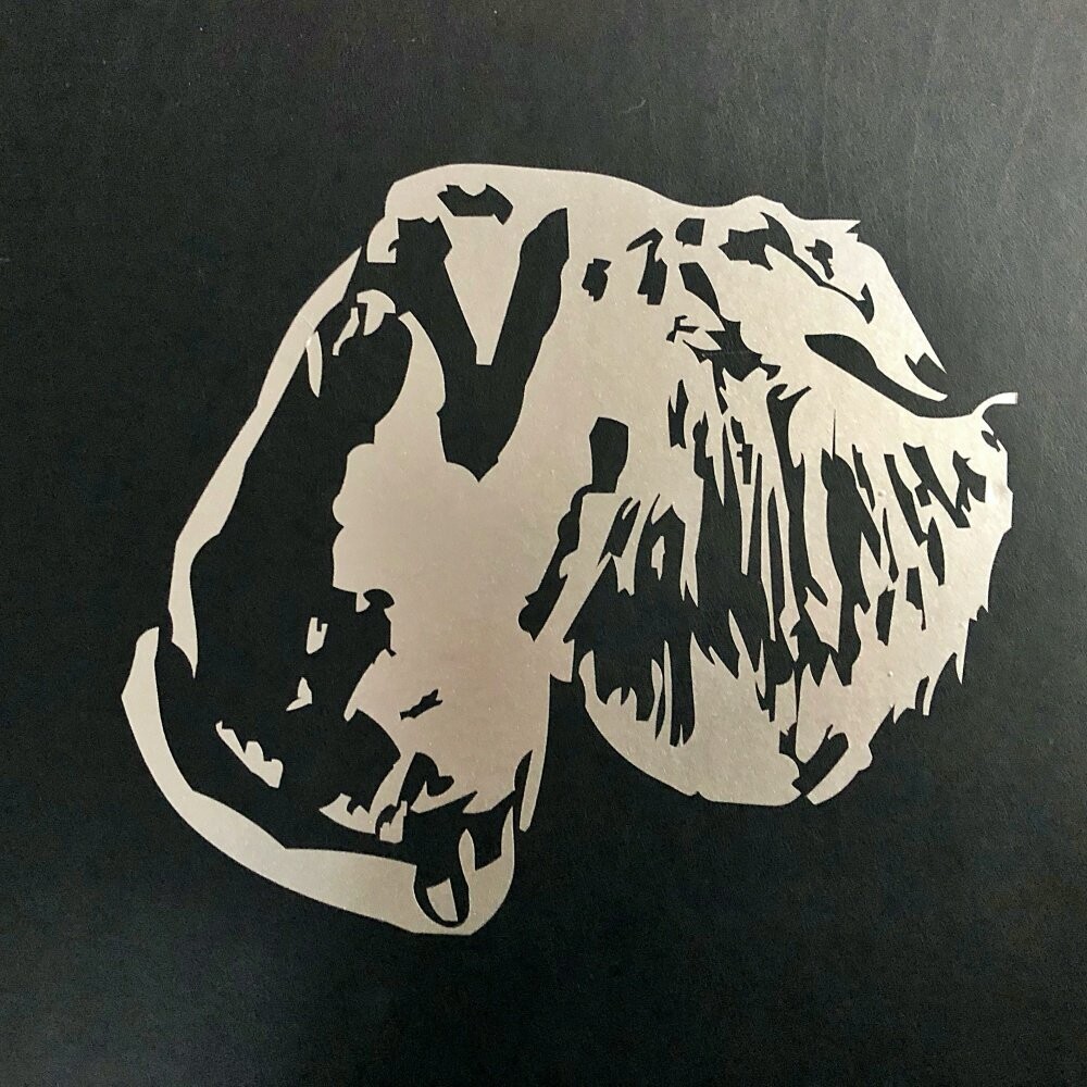 Schnauzerkopf