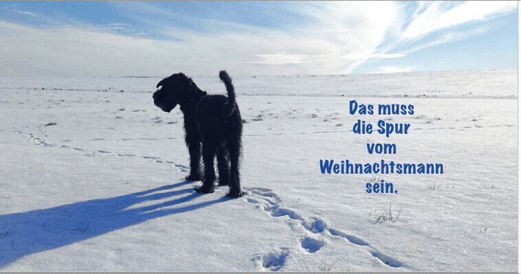 Winterkarte Motiv 3 mit Kuvert