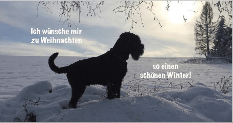 Winterkarte Motiv 4 mit Kuvert
