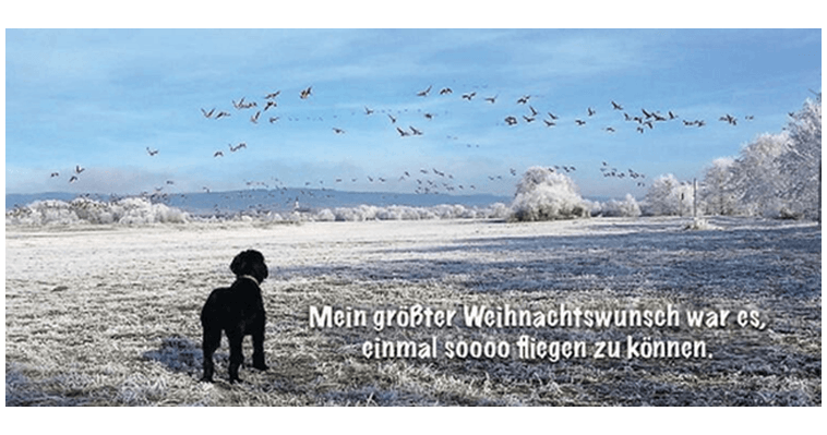 Winterkarte Motiv 6 mit Kuvert