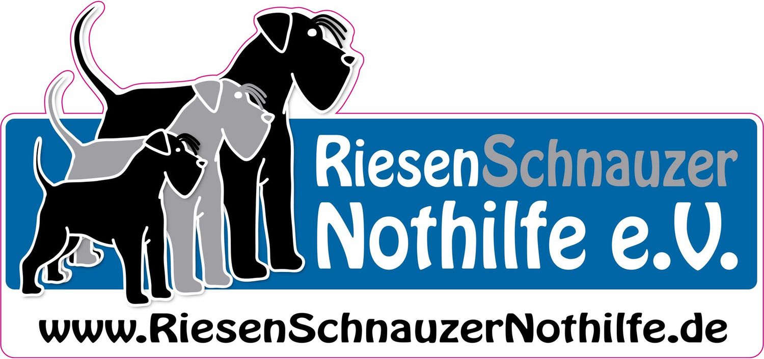 Autoaufkleber RSN