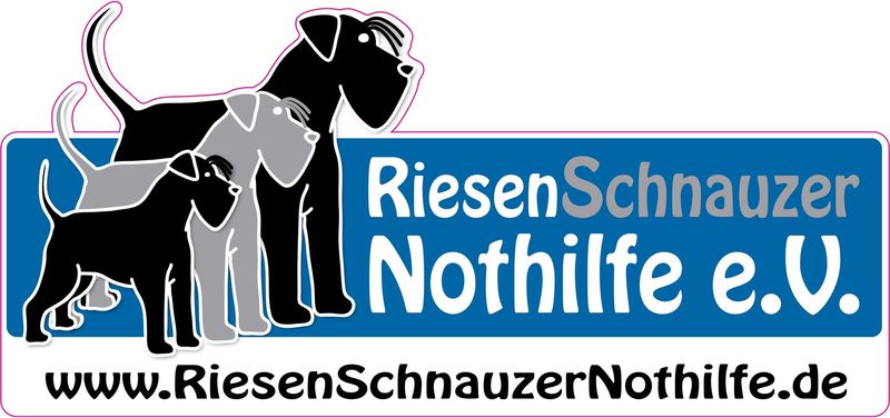 Autoaufkleber RSN