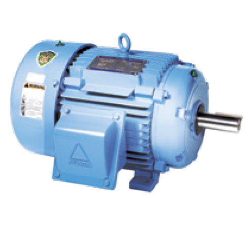 IEEE841 Motor