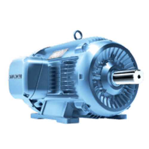 Quarry & Crusher Duty Motor