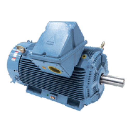 Crown Triton Series Motor - Severe Duty Large Frame