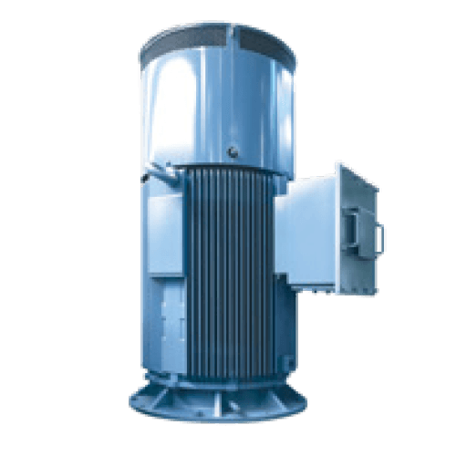 Crown Triton Series Motor - Severe Duty Large Frame