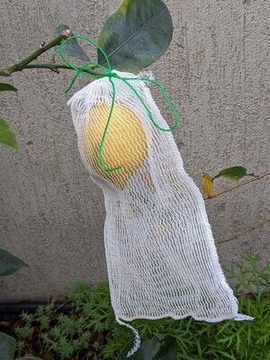 Small bags - 10 pack