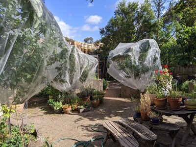 Fitted pest protection nets with zipper