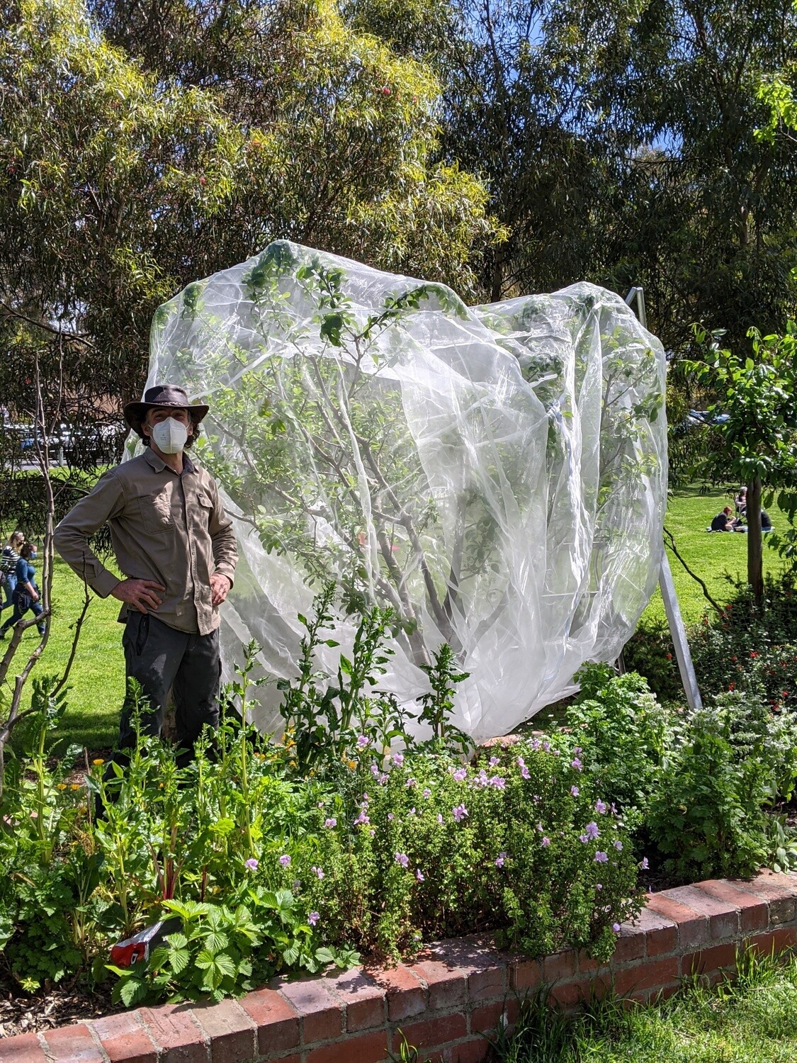 Large tree net