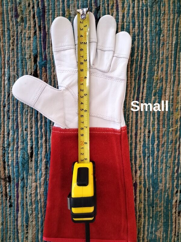 Gauntlet gloves - small