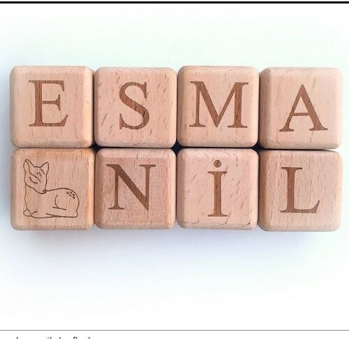 Holz Buchstaben-Würfel je