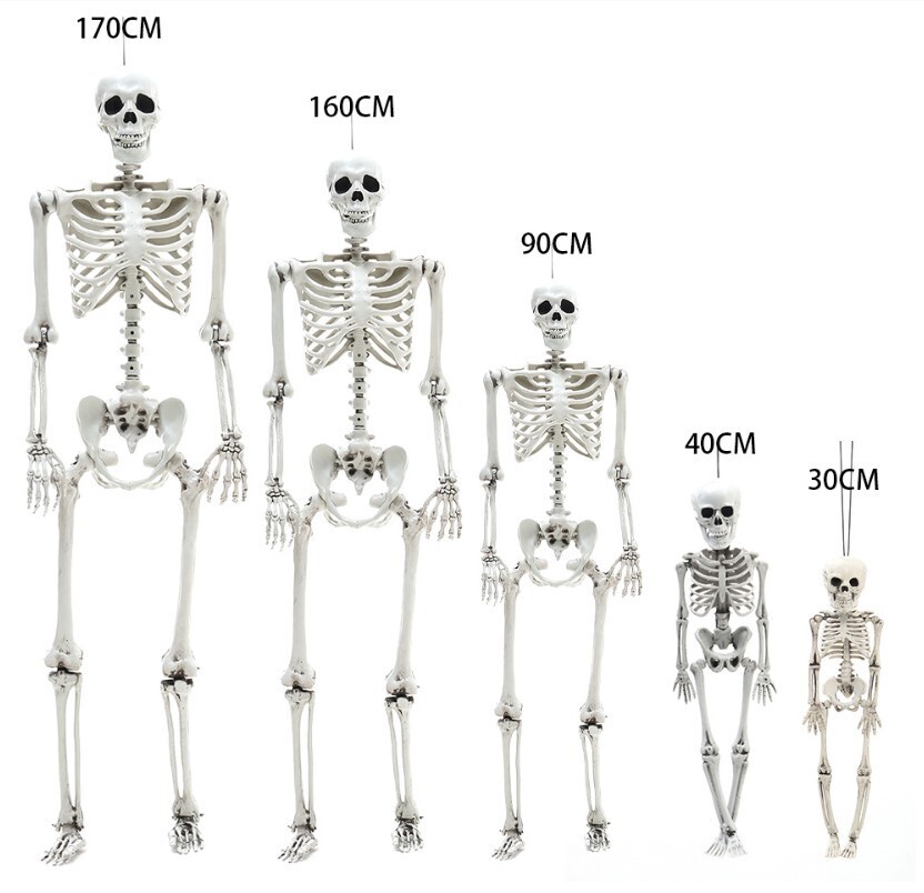 ​5 Different Sizes Skeleton Full Size Poseable Human Halloween Party Prop Haunted House Decoration