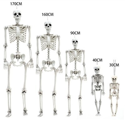 ​5 Different Sizes Skeleton Full Size Poseable Human Halloween Party Prop Haunted House Decoration