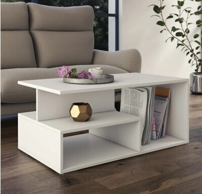 ​Cheston Floor Shelf Coffee Table with Storage