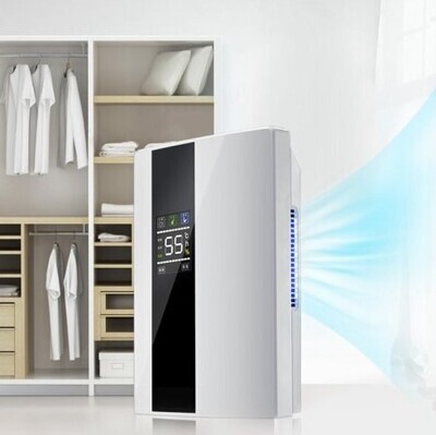 ​Dehumidifier with Air Purifier Portable for Condensation Moisture Damp