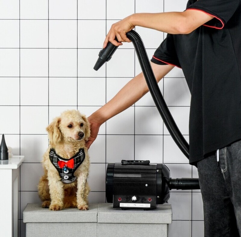​2800W Dog Pet Grooming Hairdryer Heater w/ Three Nozzles