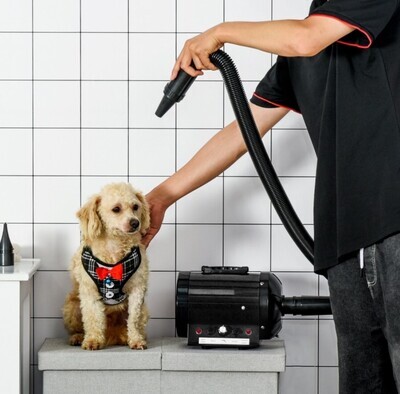 ​2800W Dog Pet Grooming Hairdryer Heater w/ Three Nozzles
