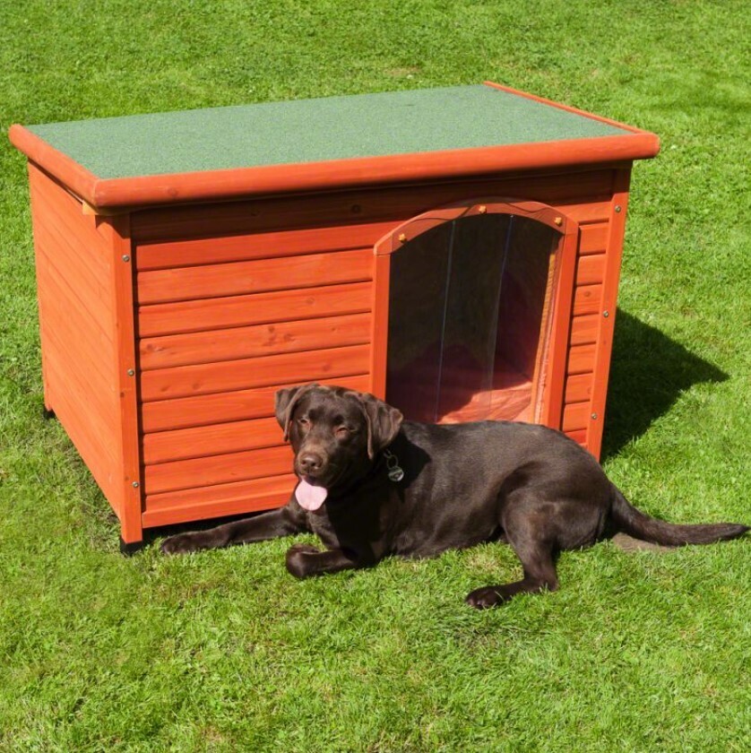 Woody Flat-Roofed Dog Kennel
