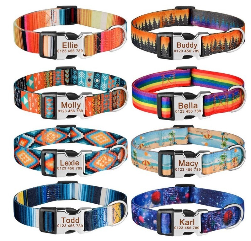 Personalised Dog Collar