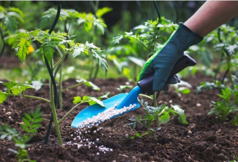 Organic fertilizers