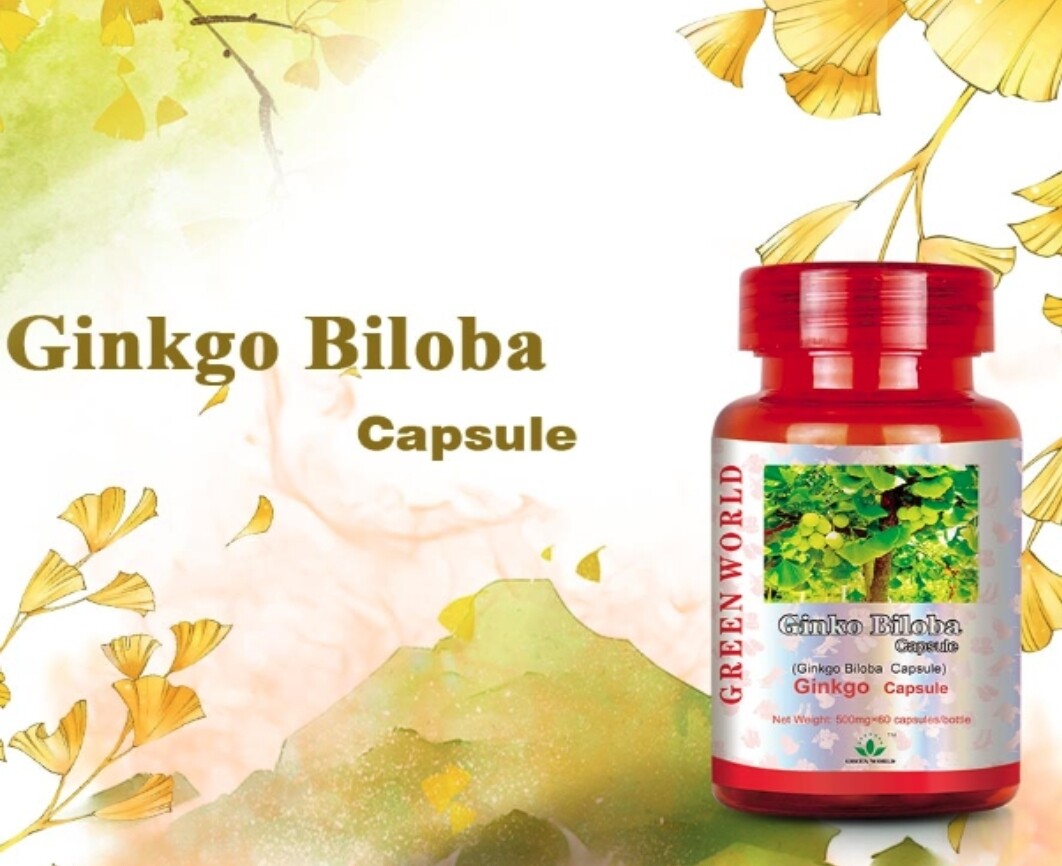 Ginkgo Biloba Capsule: Boost Memory and Repair Damage Tissue