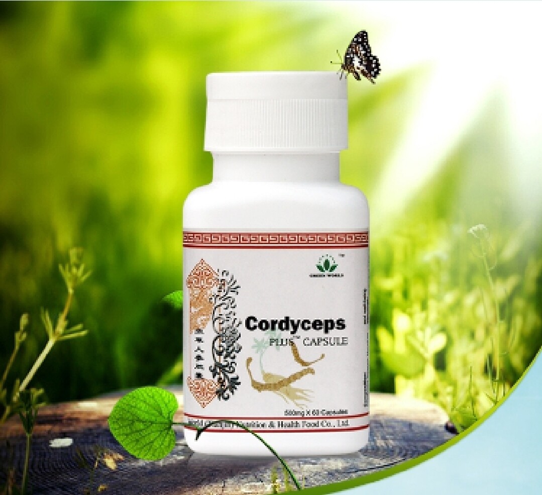 Cordyceps Plus Capsule: Anti-Cancer, Boosts Functions Of liver, lungs, and kidney.