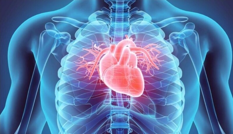 Cardiovascular diseases