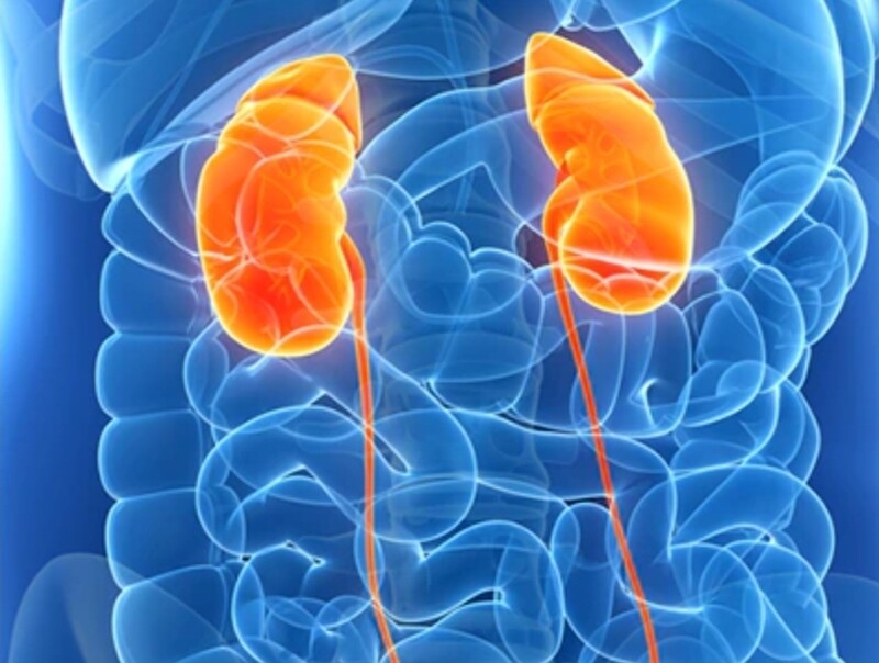 Kidney problems