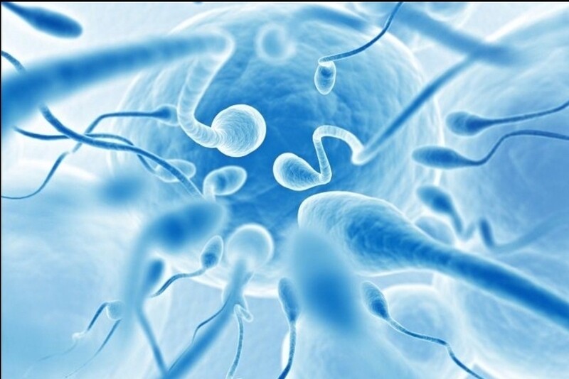 Low sperm count