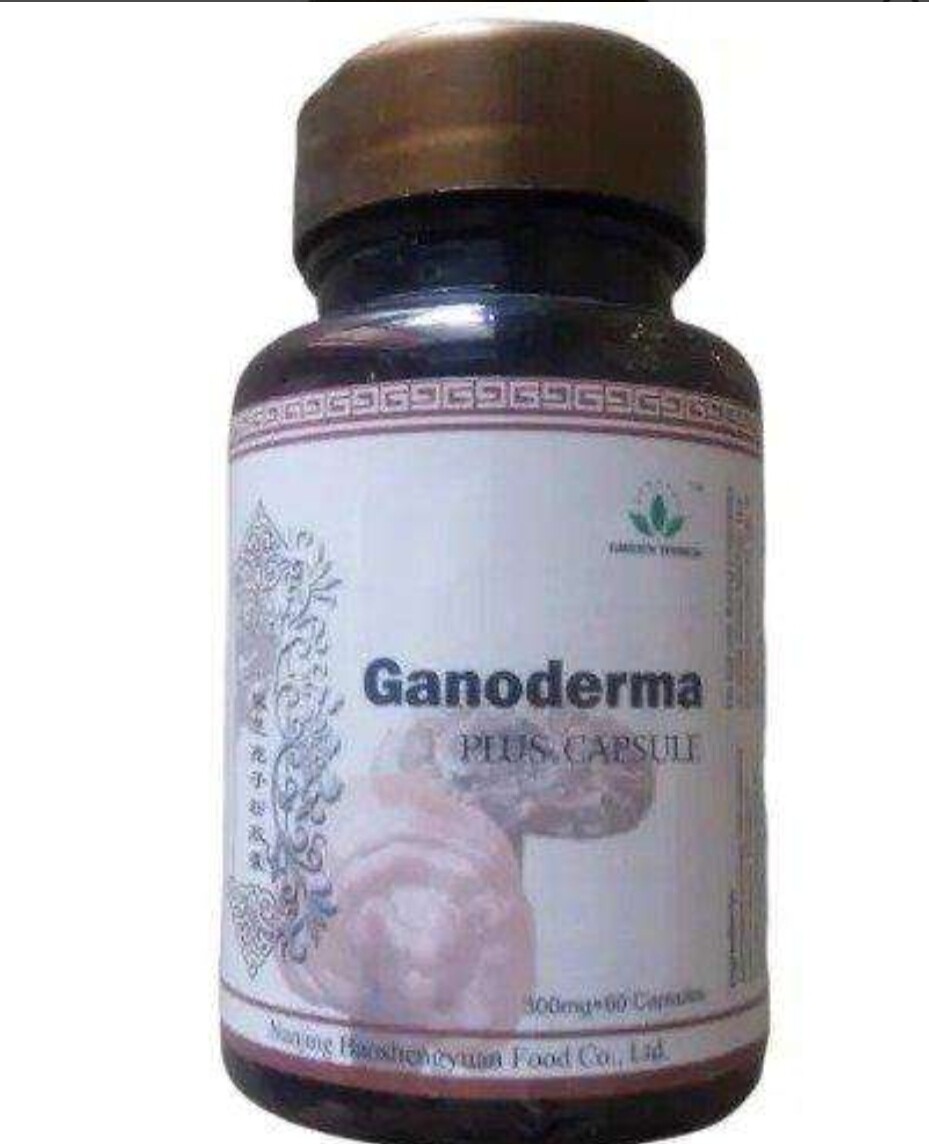 Ganoderma Plus Capsule: Treat Tumor, Asthma, and Respiratory Disorder