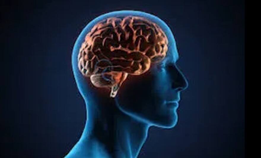 Memory loss treatment package