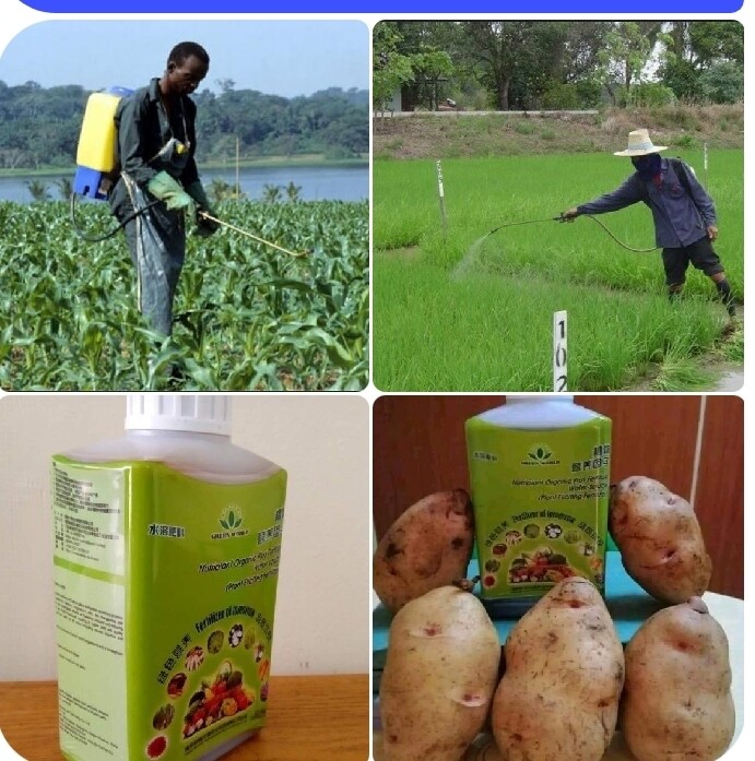 how to apply nutriplant fertilizer with the stages