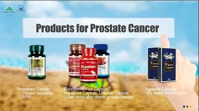 Prostate cancer care supplements