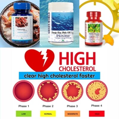Cholesterol treatment pack