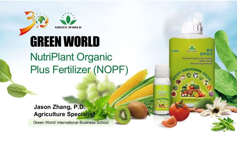 Nutriplant organic plus fertilizers doing wonders