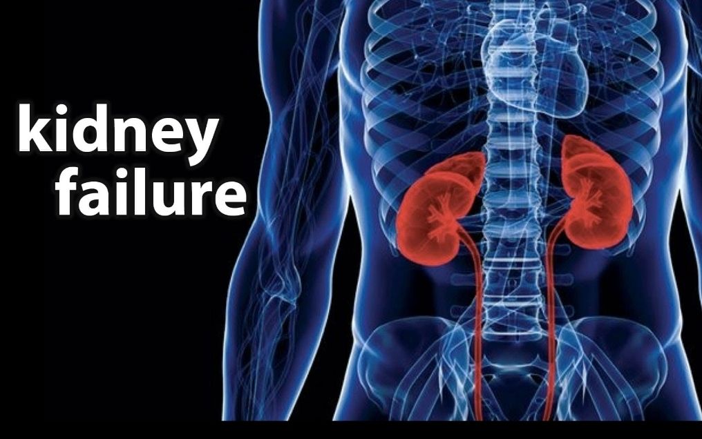 Kidney failure treatment pack