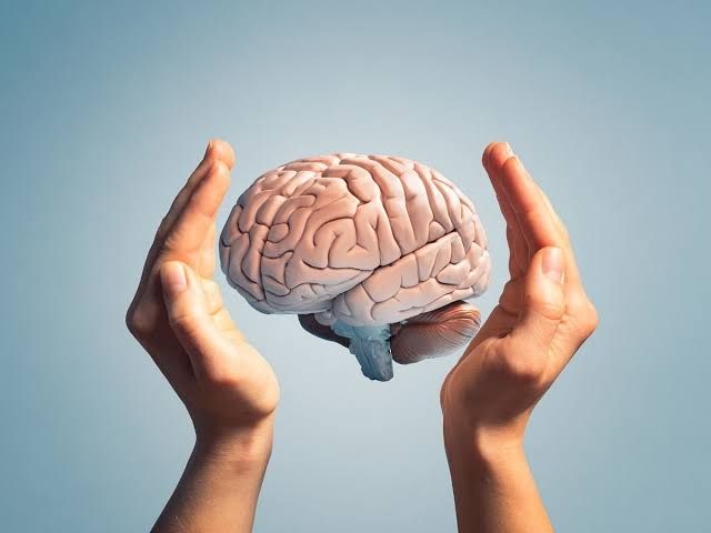 Brain