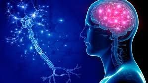 Epilepsy