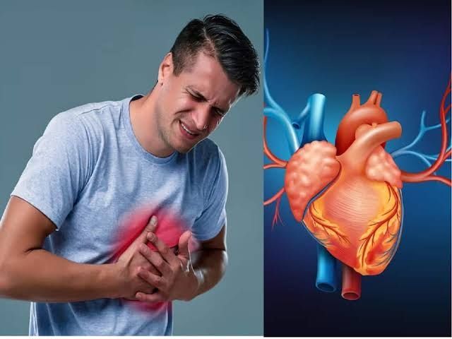 Heart, blood vessels
