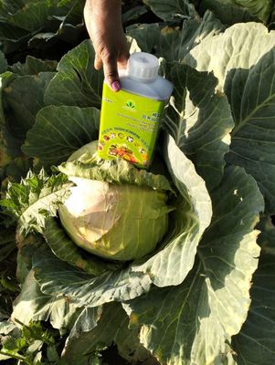 Fertilizer
