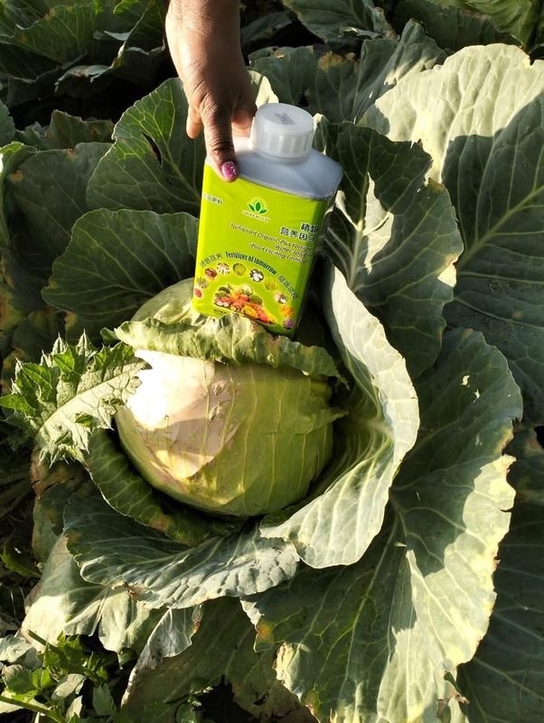 Fertilizer