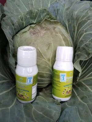 Mastering class on Nutriplant Organic Plus Fertilizer