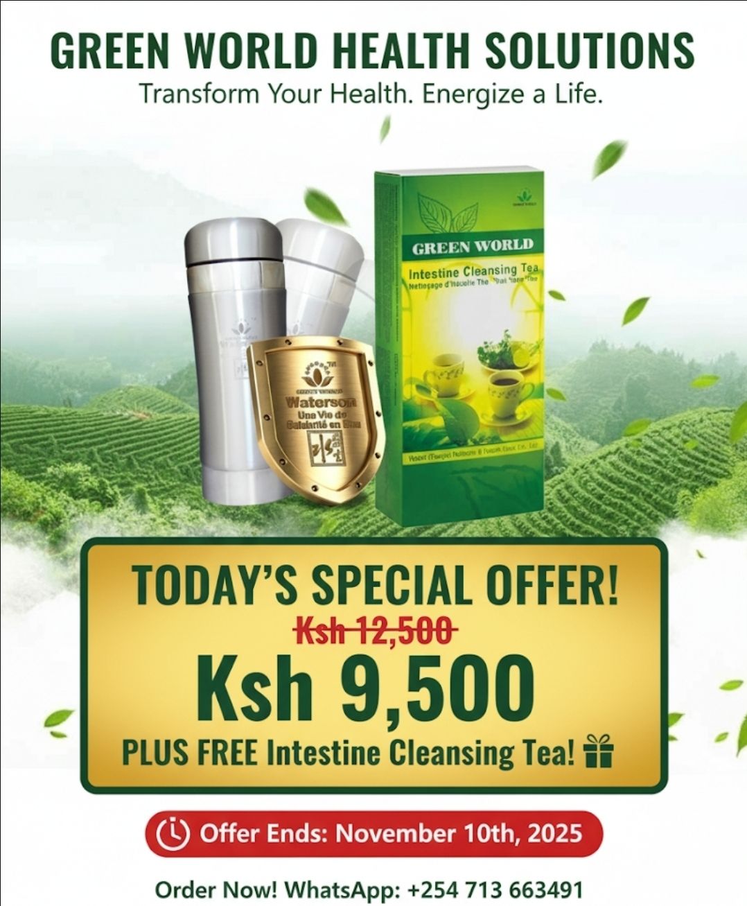 🌿 Ultimate Wellness Bundle: Green World Tourmaline Flask + FREE Cleansing Tea!